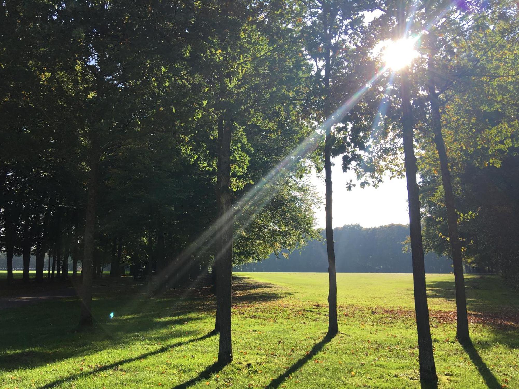 De Slaapfabriek Vakantiehuis En Trainingslocatie Teuge ภายนอก รูปภาพ