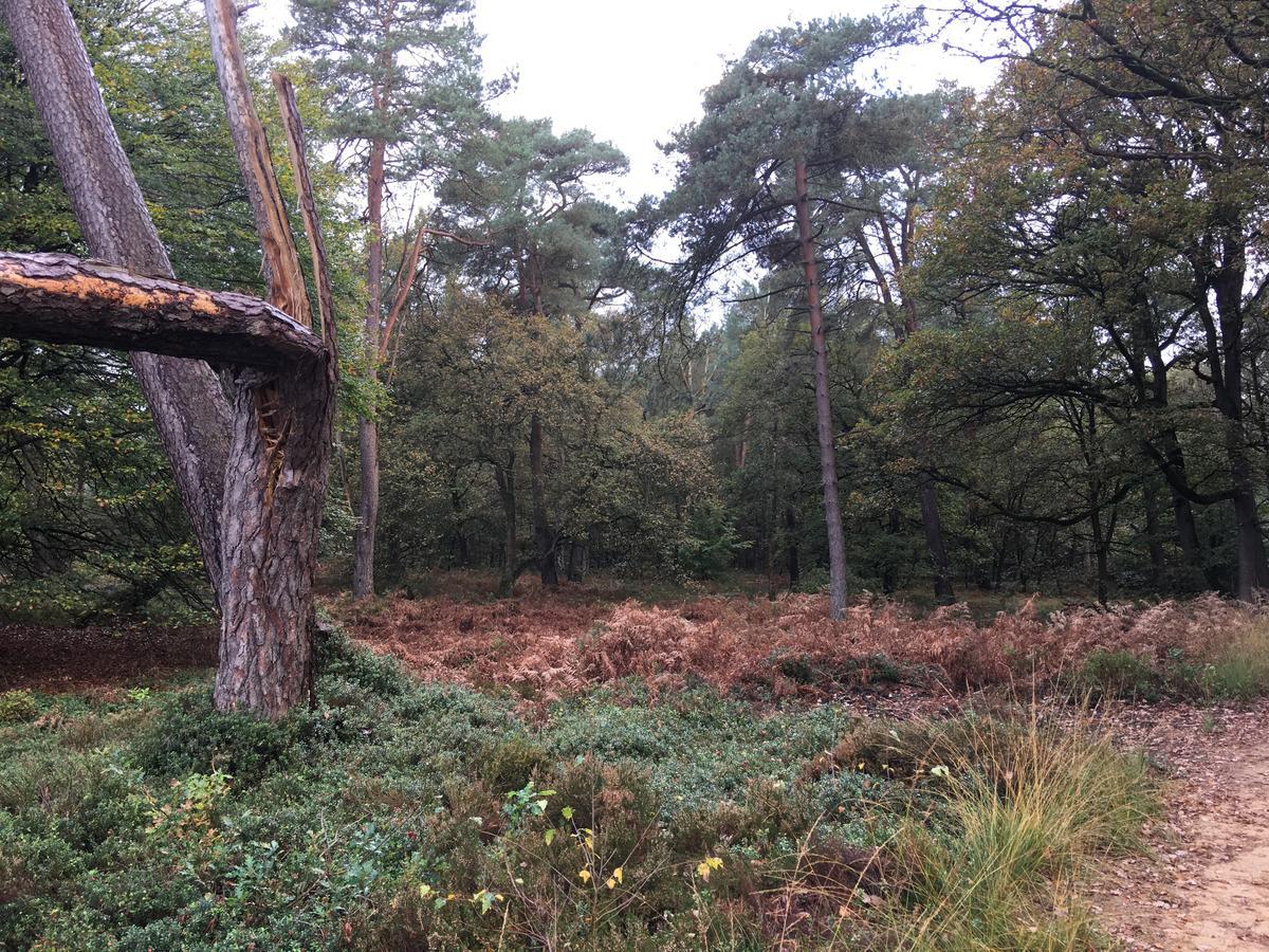 De Slaapfabriek Vakantiehuis En Trainingslocatie Teuge ภายนอก รูปภาพ