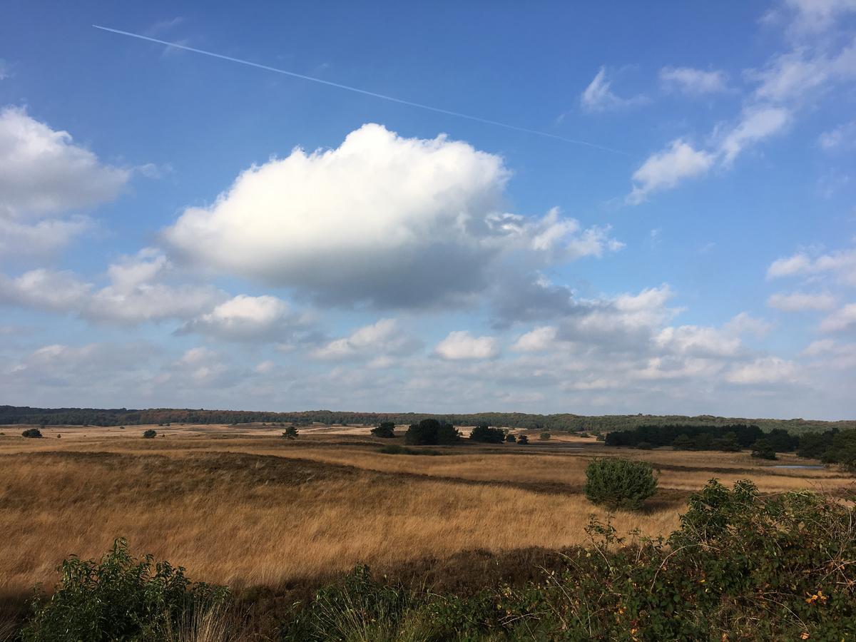 De Slaapfabriek Vakantiehuis En Trainingslocatie Teuge ภายนอก รูปภาพ